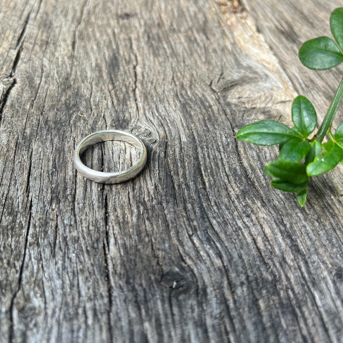 Silver Halo Ring